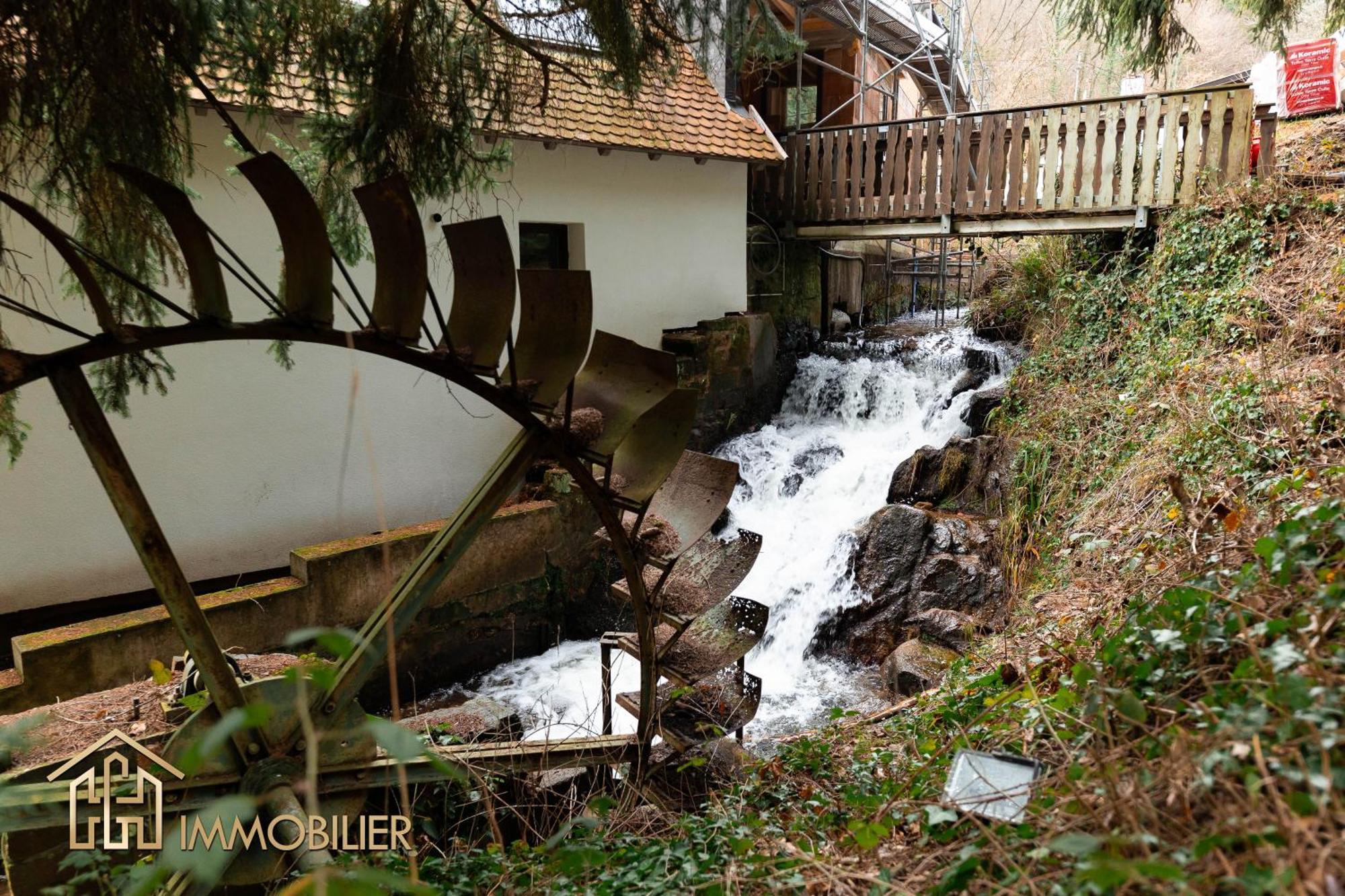 Domaine De La Source Gites 4 Personnes Au Calme Barr Zewnętrze zdjęcie